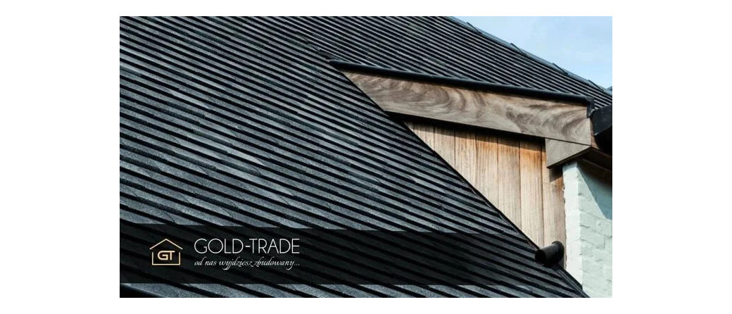 Dachy Kraków - z wizytą u przyjaciół